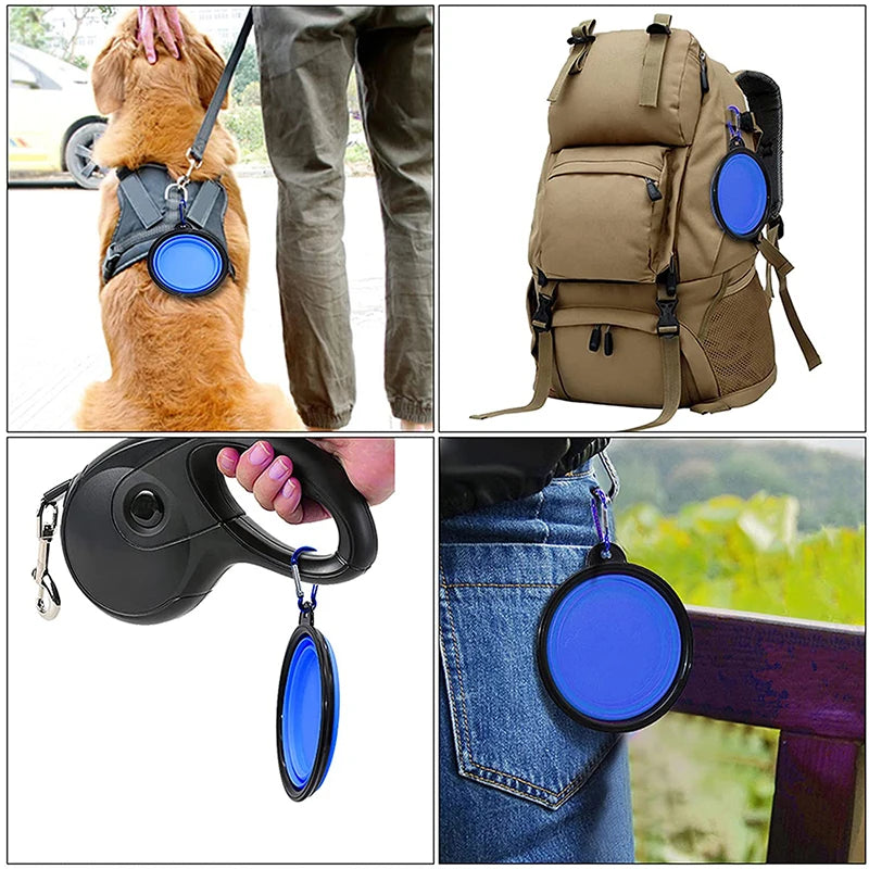 OnTheGo Paws